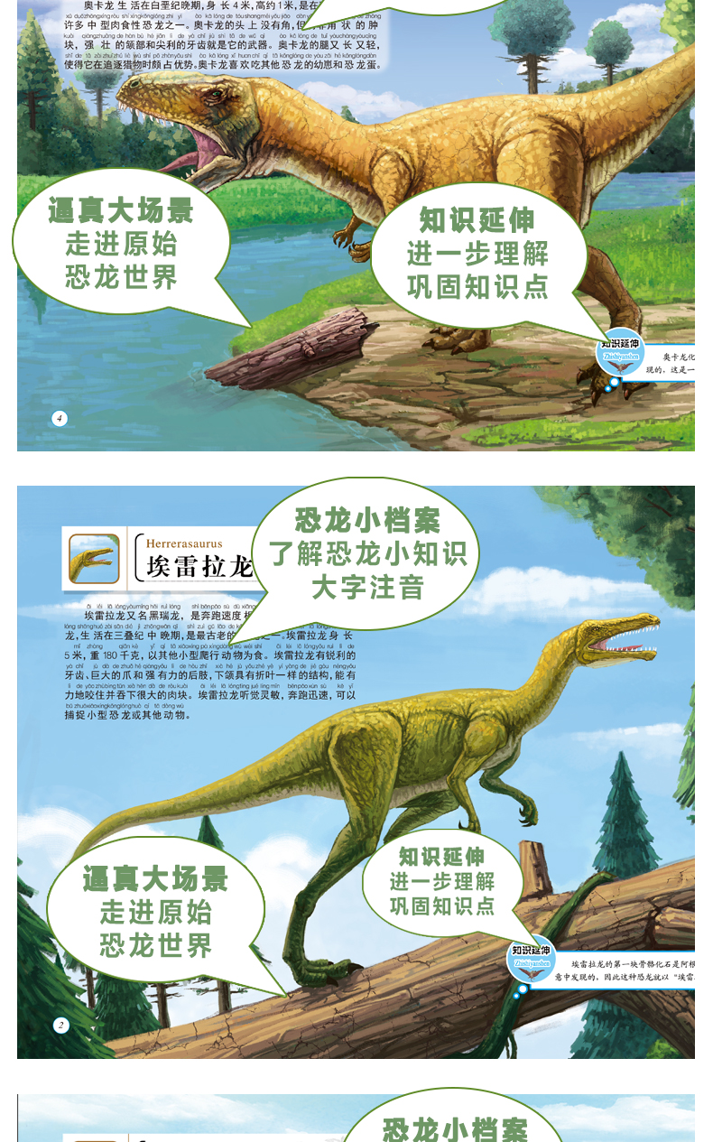 多元化玩法,培养综合能力