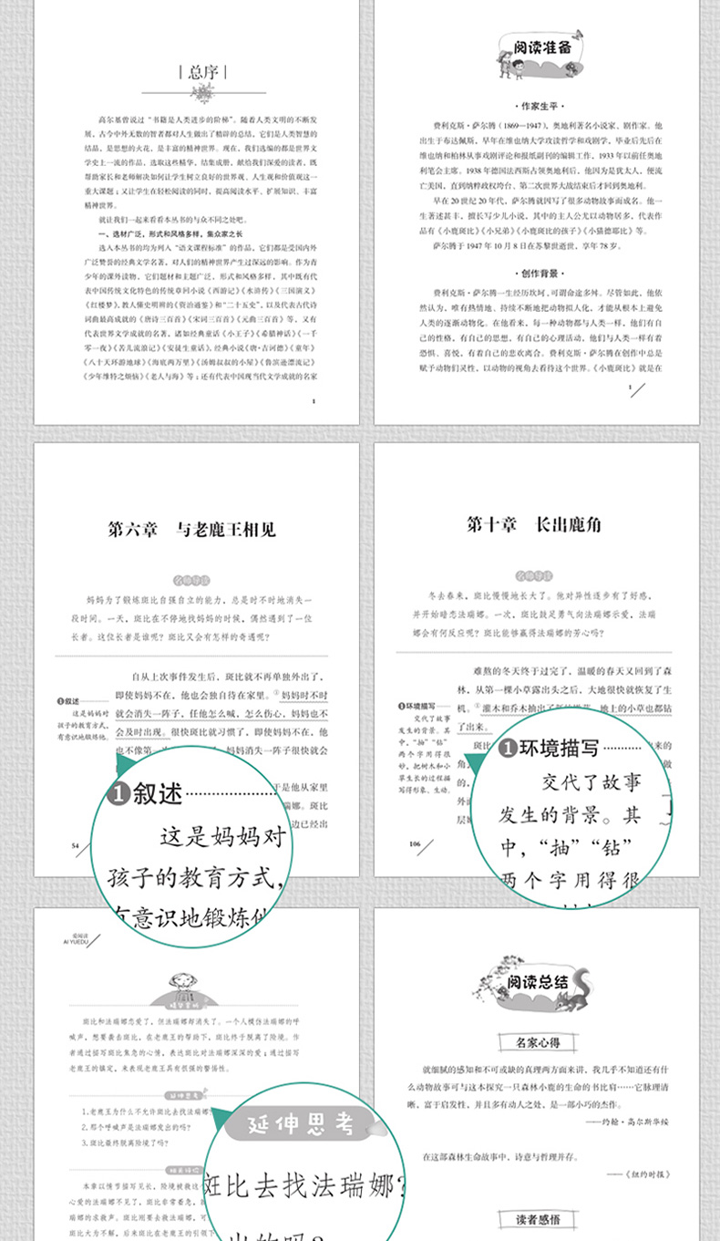 爱丽丝漫游奇境 吹牛大王历险 小鹿斑比 乌丢丢的奇遇 共4册 天地出版社 小学生三年级课外书必读 四五年级曹文轩推荐儿童文学读物