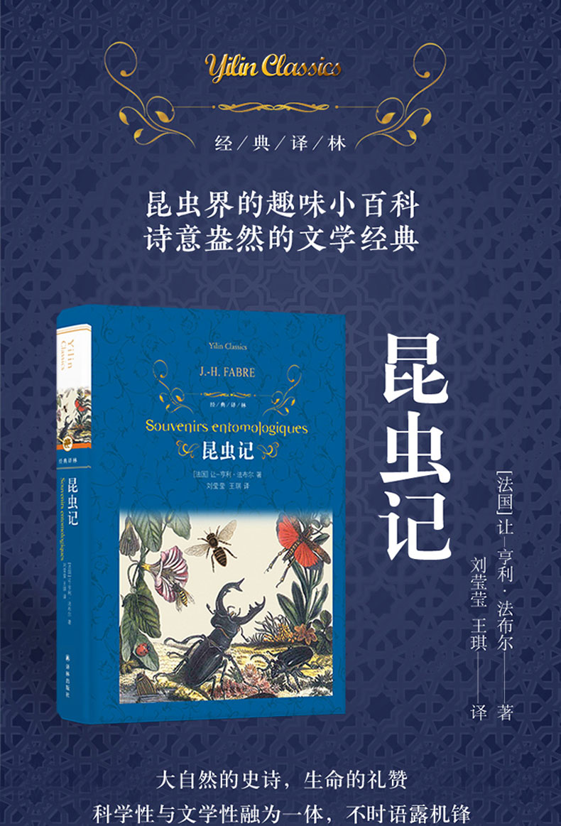 经典译林昆虫记地心游记城南旧事共3册小学生阅读经典文学课外阅读