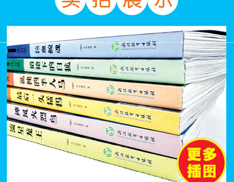 沈石溪动物小说全集全套35册经典书目狼王遗梦狮王的崛起狼王梦10-12-15岁四五六七年级初中生小学生必读课外阅读书籍畅销书排行榜