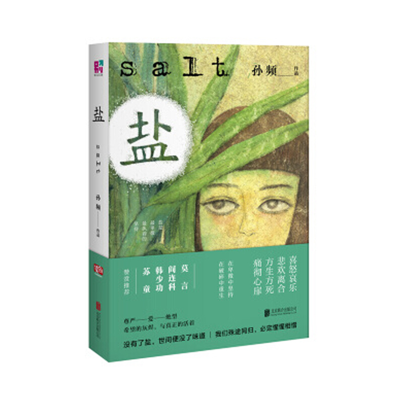 盐孙频著小说书籍作品集