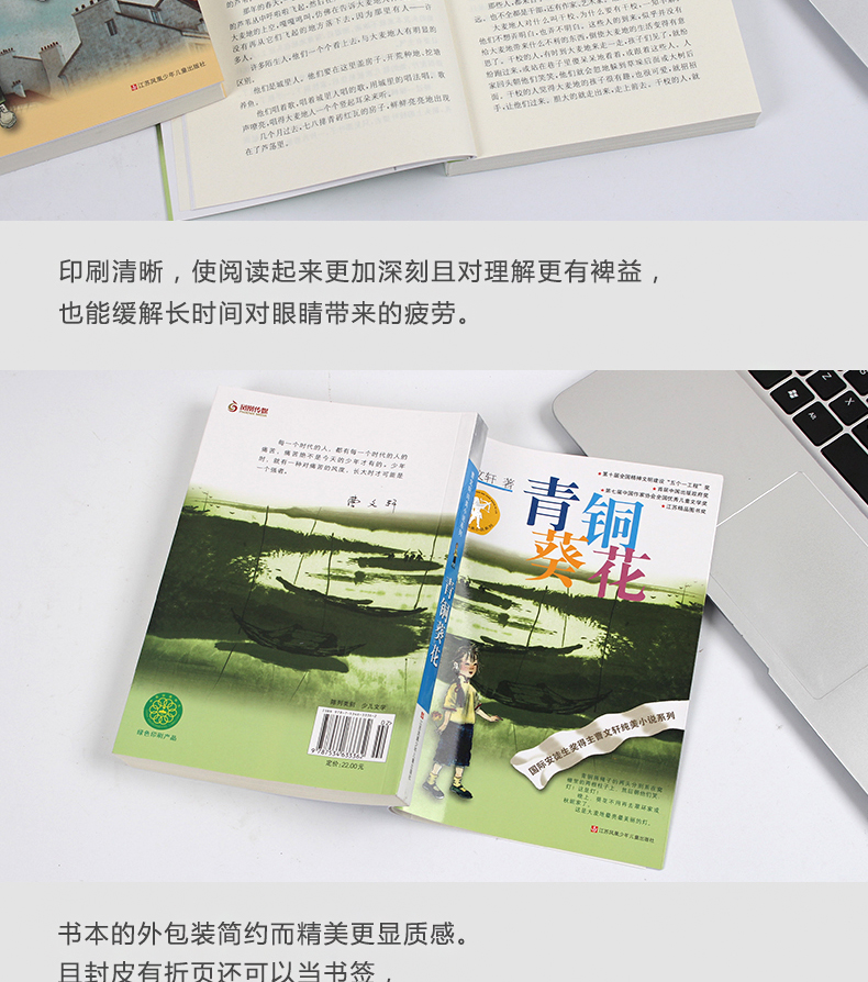 全套2册 青铜葵花完整版小英雄雨来 管桦曹文轩儿童文学正版原著 四年级下册五六上小学生必读课外书阅读书籍原版学校指定文学书目