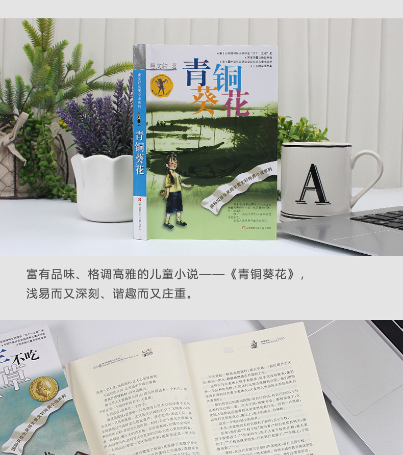 全套2册 青铜葵花完整版小英雄雨来 管桦曹文轩儿童文学正版原著 四年级下册五六上小学生必读课外书阅读书籍原版学校指定文学书目