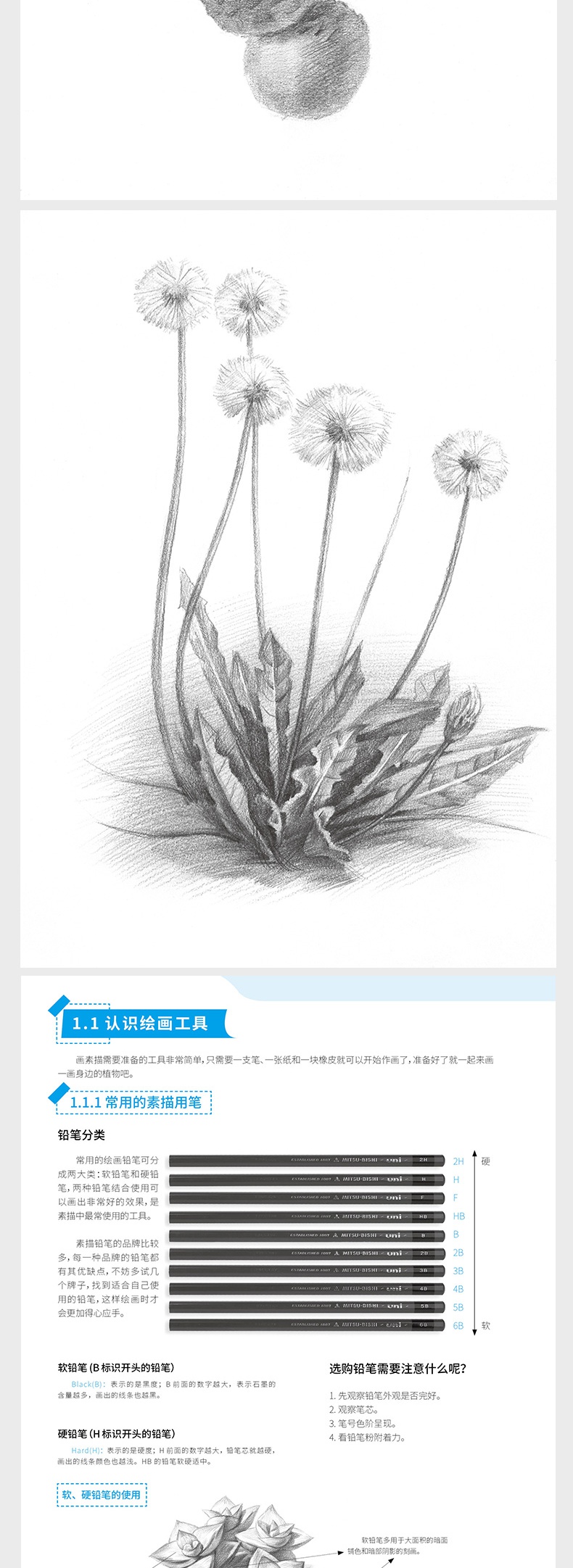 正版我爱画素描植物篇素描书籍绘画书籍手绘初学入门到精通素描教程