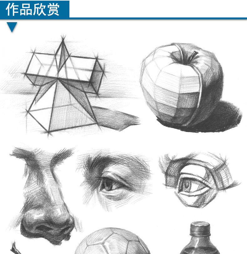 從零起步學素描全套工具畫冊畫畫素描書入門自學零基礎教程臨摹教材