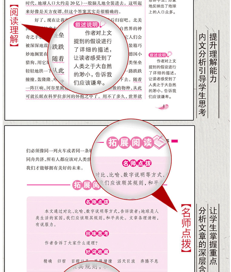 2020年河北省推荐 秘密花园和地球的故事正版四年级上册青铜葵花小英雄雨来正版原著完整版 小学生必读课外书经典书目 曹文轩管桦