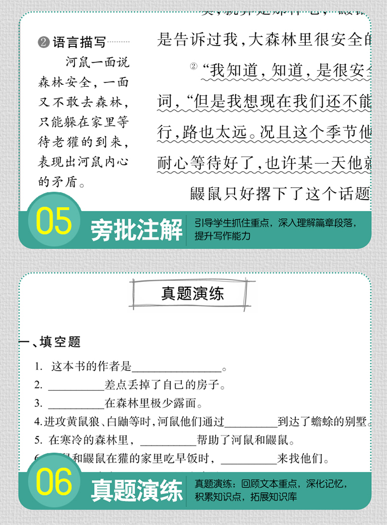 柳林风声正版书原著小学生版柳林风声 宝葫芦的秘密 四年级绿山墙的安妮正版 三四五六年级的课外书籍