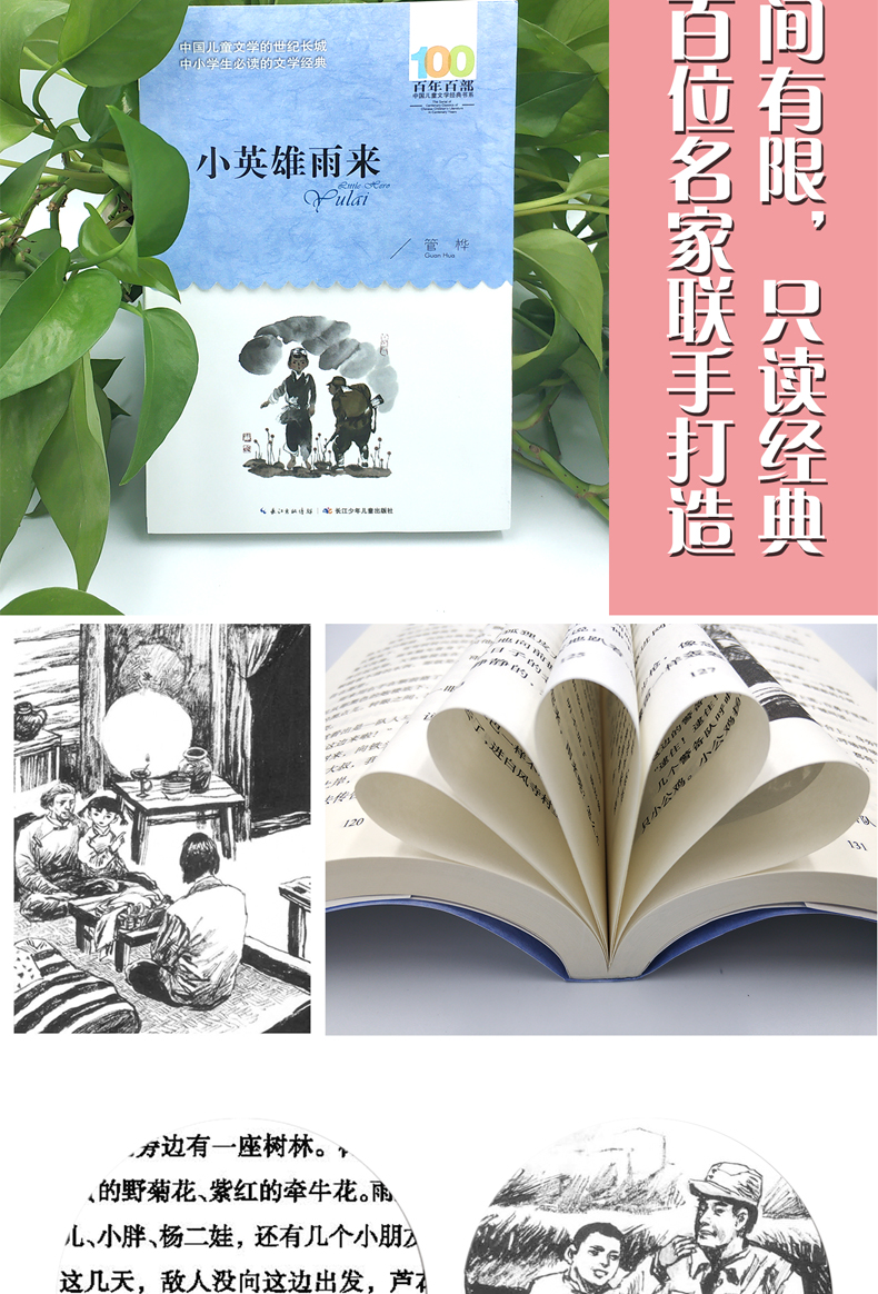 全套2册 青铜葵花完整版小英雄雨来 管桦曹文轩儿童文学正版原著 四年级下册五六上小学生必读课外书阅读书籍原版学校指定文学书目