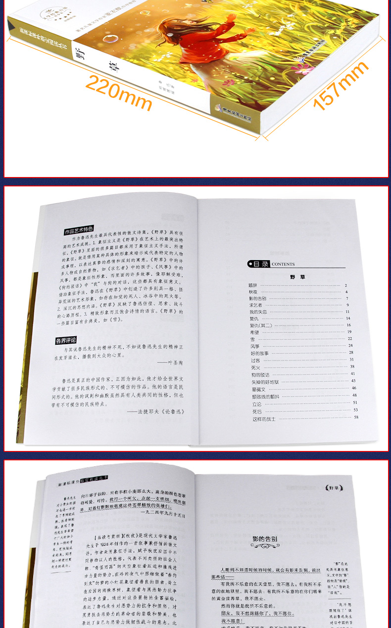 新课标无障碍阅读世界经典文学名著共2册 野草 故乡鲁迅 三四五年级必读经典书目小学生课外阅读书籍 儿童故事6-12周岁读物畅销书