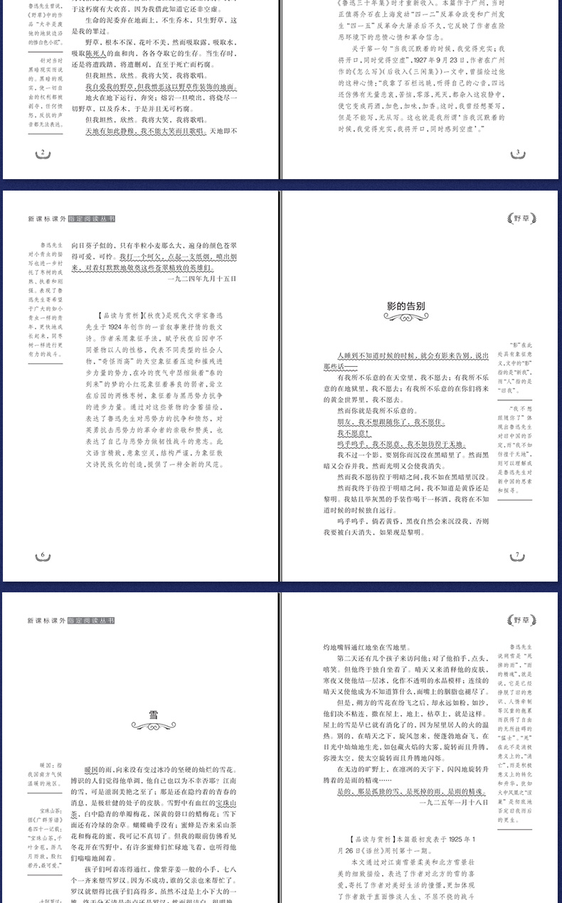 新课标无障碍阅读世界经典文学名著共2册 野草 故乡鲁迅 三四五年级必读经典书目小学生课外阅读书籍 儿童故事6-12周岁读物畅销书