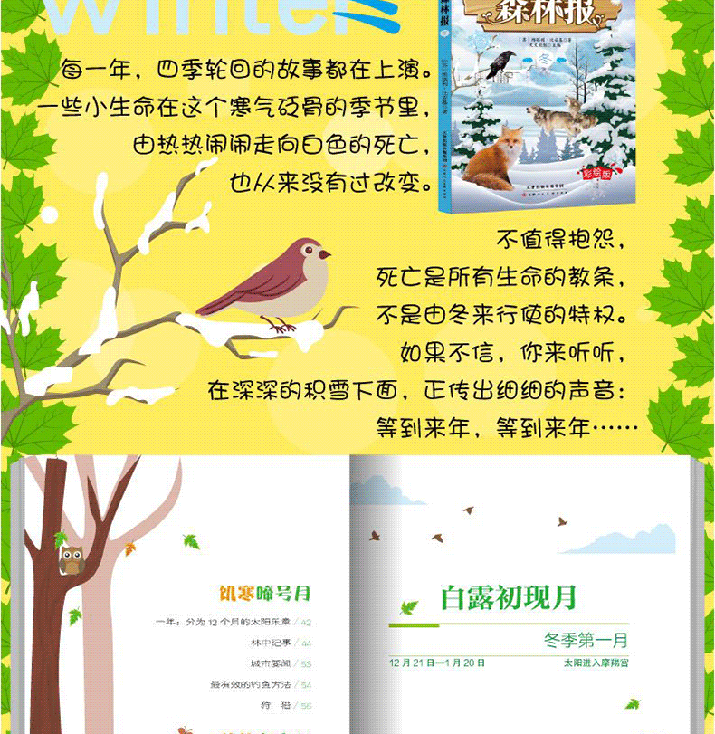 【学校指定】森林报春夏秋冬全四册 五年级课外书必读全套上册8-10-12-15岁正版 小学生二年级四年级看课外阅读经典书目 非注音版