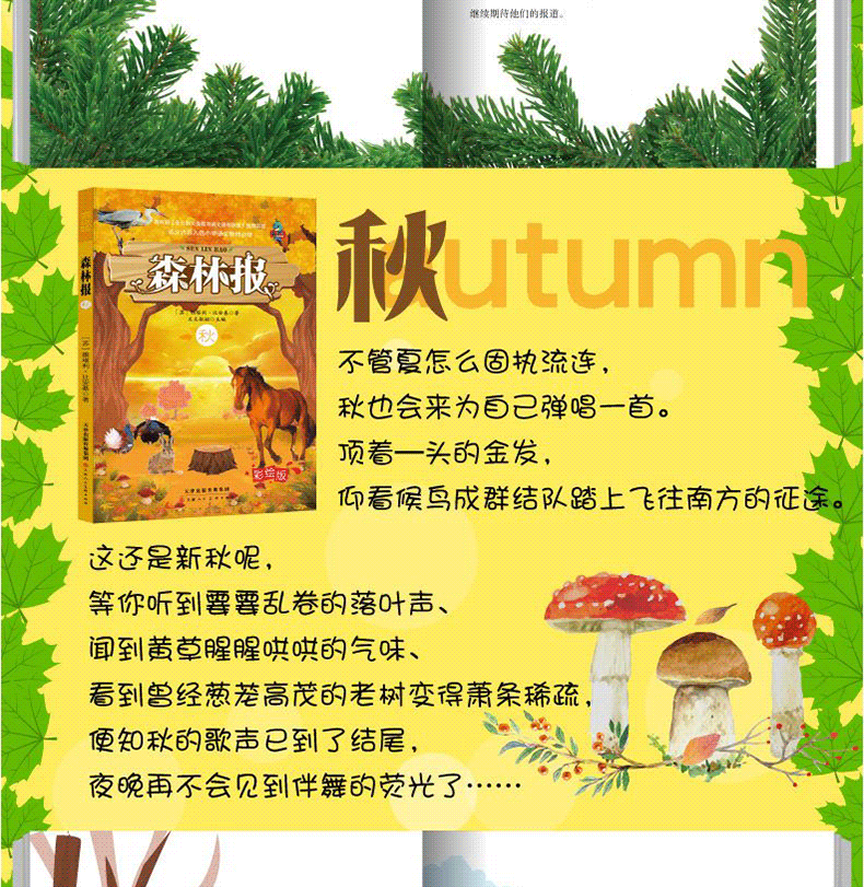 【学校指定】森林报春夏秋冬全四册 五年级课外书必读全套上册8-10-12-15岁正版 小学生二年级四年级看课外阅读经典书目 非注音版