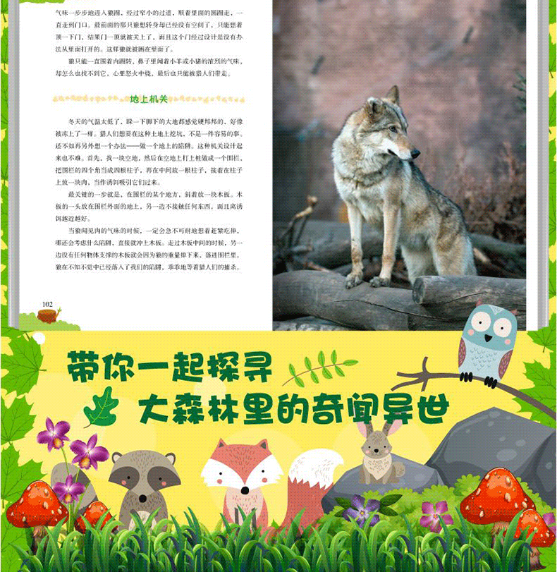 【学校指定】森林报春夏秋冬全四册 五年级课外书必读全套上册8-10-12-15岁正版 小学生二年级四年级看课外阅读经典书目 非注音版