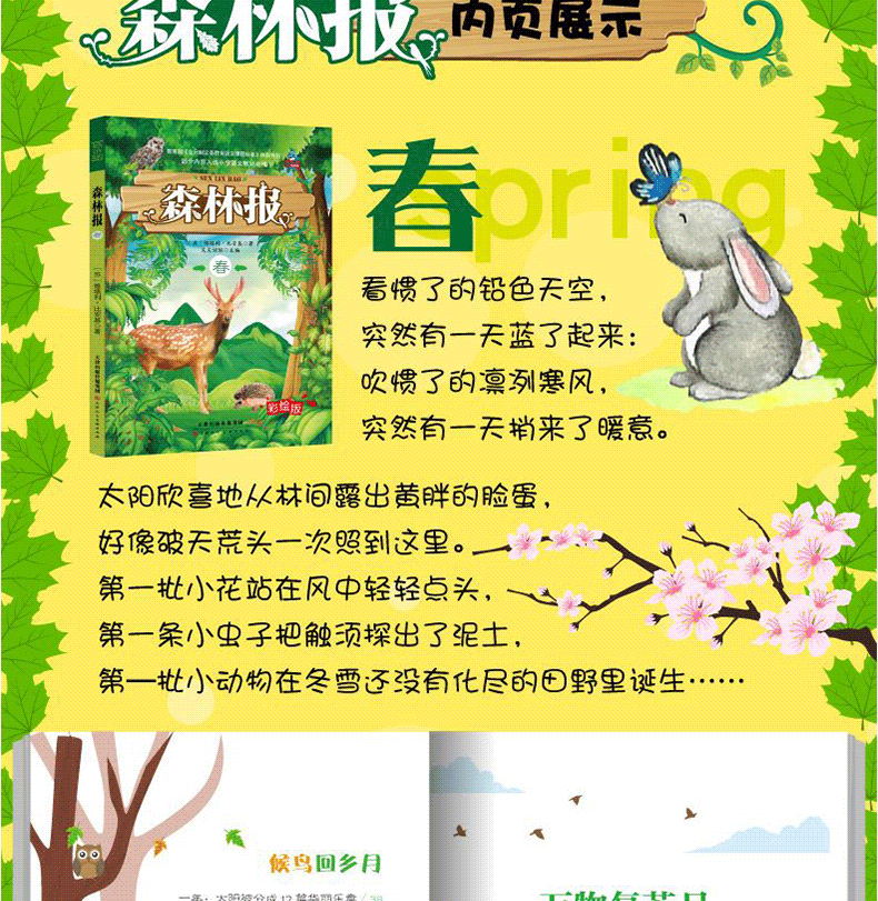 【学校指定】森林报春夏秋冬全四册 五年级课外书必读全套上册8-10-12-15岁正版 小学生二年级四年级看课外阅读经典书目 非注音版