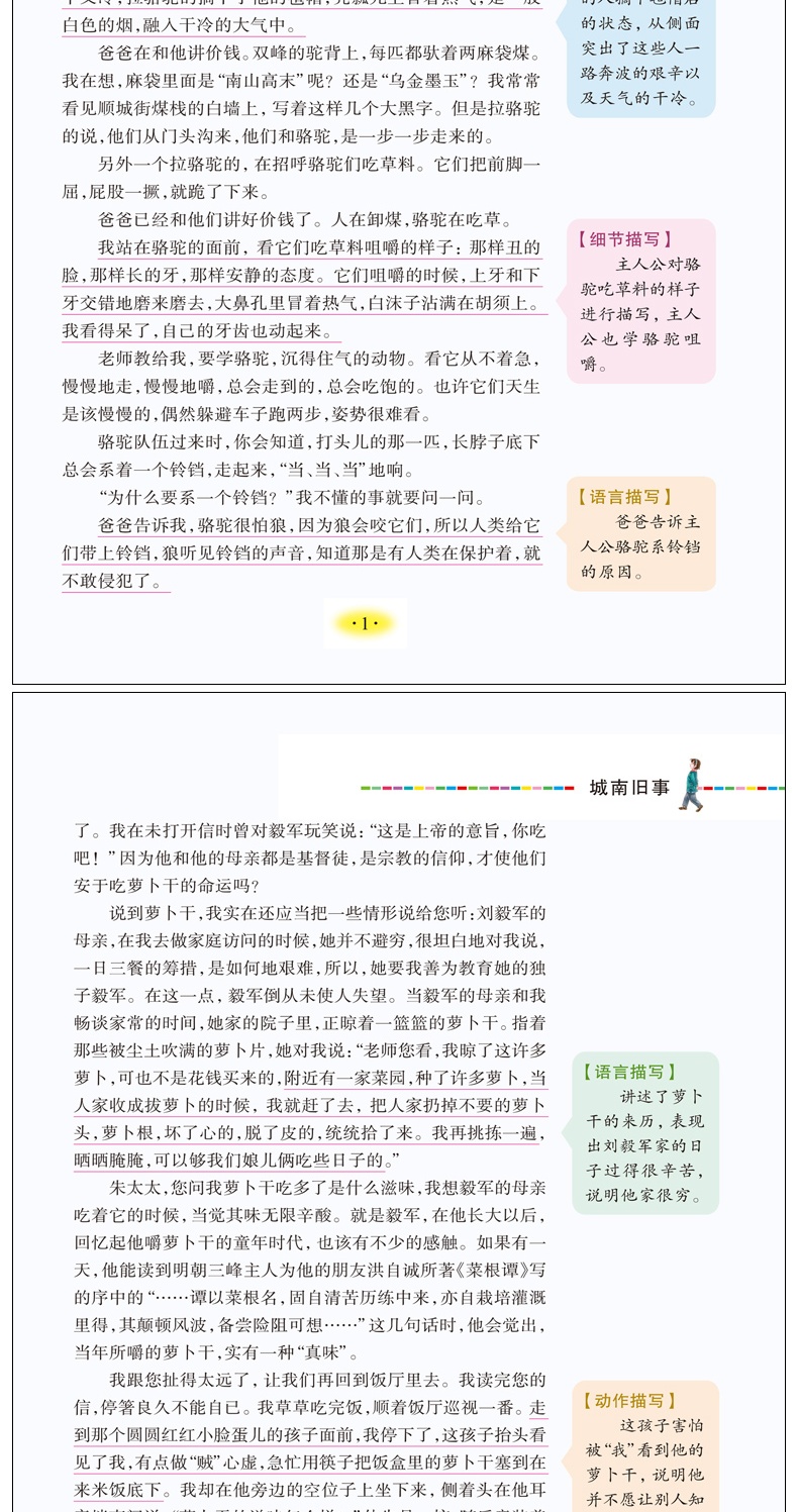 【小学生课外书】城南旧事 11-14岁儿童文学 青少年课外读物 3-6年级小学生课外阅读书籍