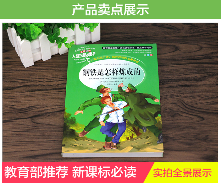 【同系列4本45元包邮】钢铁是怎样炼成的 小学生语文新课标必读名著彩图无障碍阅读