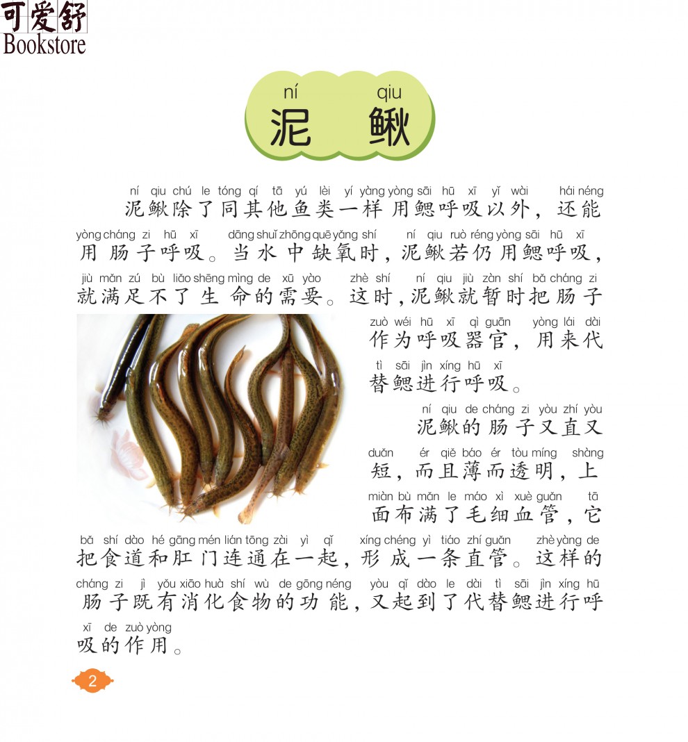 【注音有声朗读版】鱼类小百科 彩图注音版 有声朗读版正版 儿童小学生6-10岁科普书籍 海洋动物