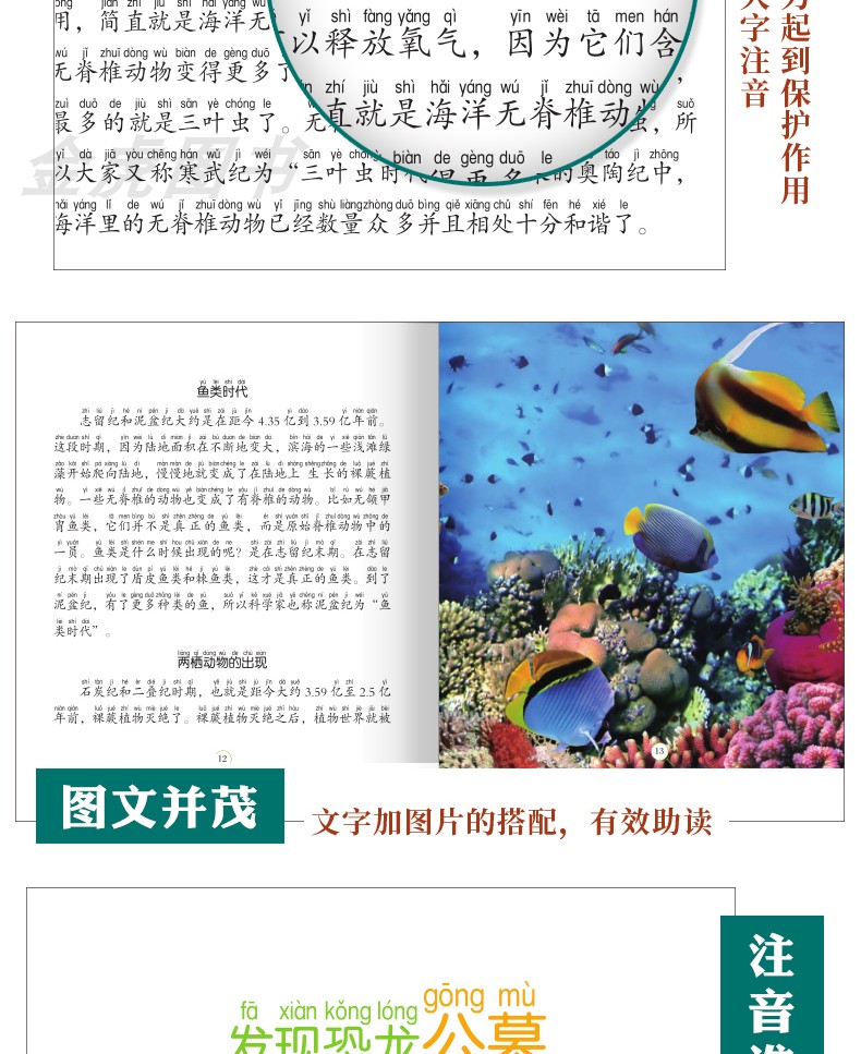 【注音有声朗读版】恐龙未解之谜 注音版儿童小学生课外阅读书籍一二年级课外科普书籍 恐龙百科书幼儿科普