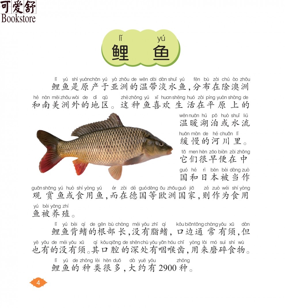 【注音有声朗读版】鱼类小百科 彩图注音版 有声朗读版正版 儿童小学生6-10岁科普书籍 海洋动物