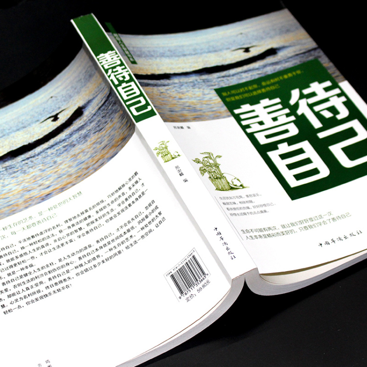 善待自己 人生智慧哲理调节心态心灵鸡汤感悟人生提高情商书籍 自我实现励志成长正能量 学会宽容心灵修养