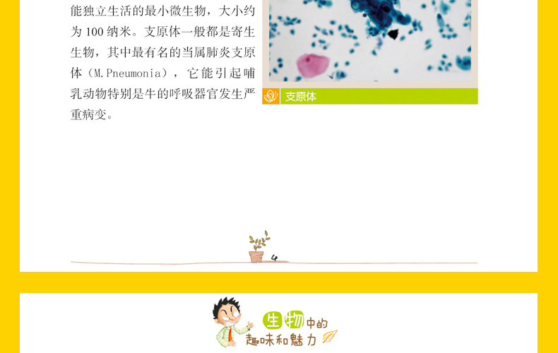 彩图版生物中的趣味和魅力 学生成才励志必读书系之学科系 神奇趣味知识营我的本好玩生物书 中小学生课外