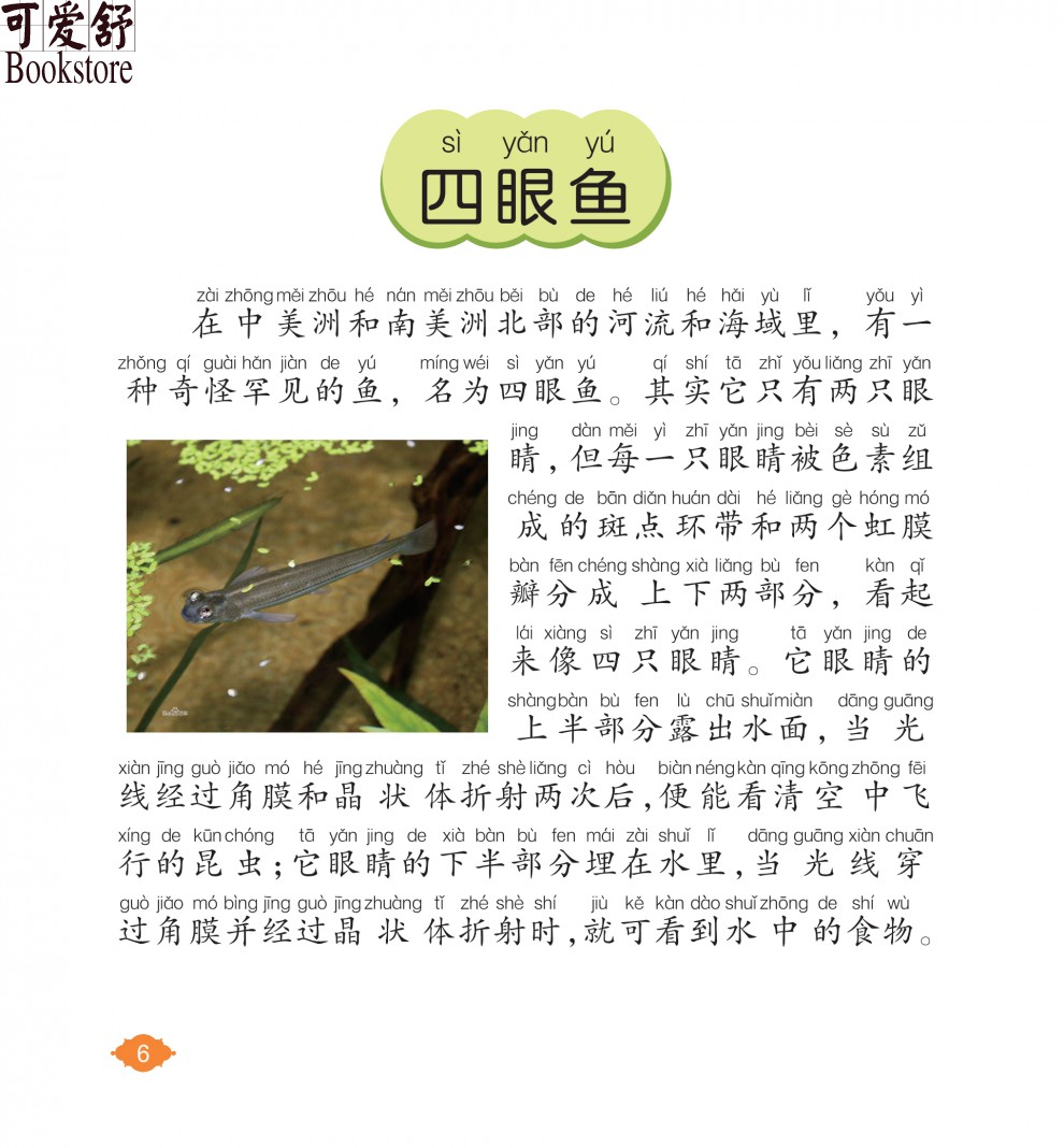 【注音有声朗读版】鱼类小百科 彩图注音版 有声朗读版正版 儿童小学生6-10岁科普书籍 海洋动物