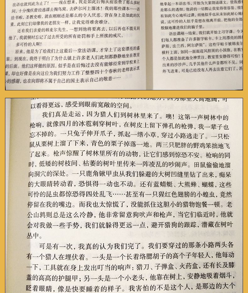 最后一课 都德 辽海出版社 9787545144819