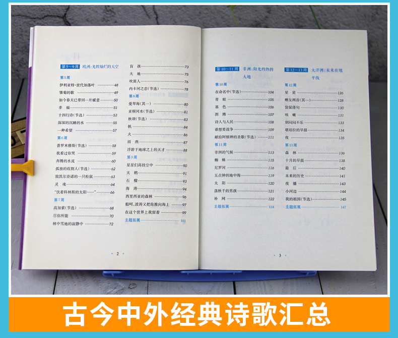 新教育晨诵五年级上下册共2本 小学语文新课标阶梯阅读训练语文教辅书籍 小学语文同步课外阅读教材