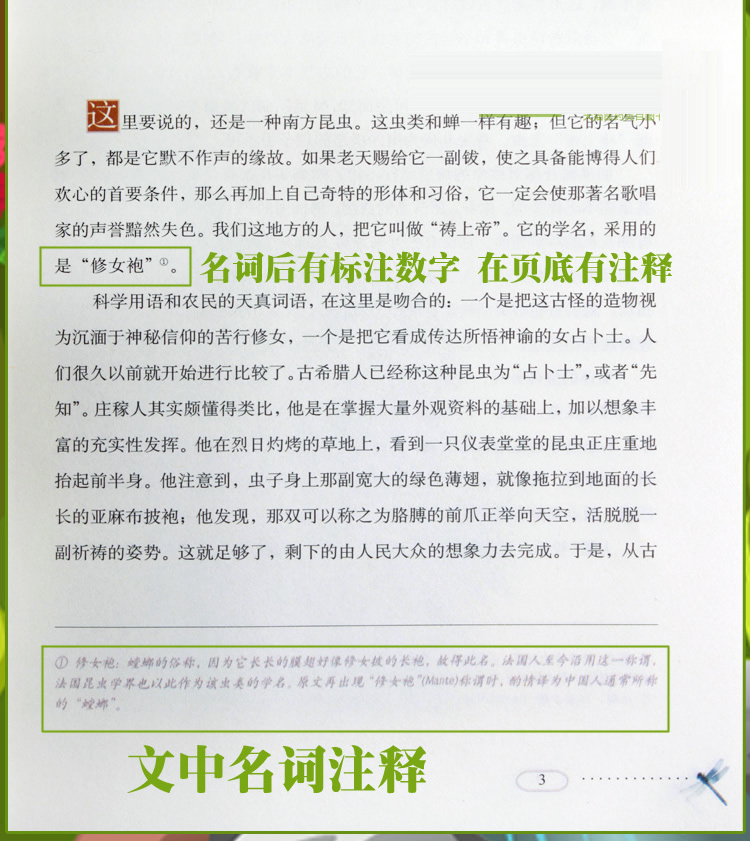 昆虫记世界经典动物名著美绘版上下册小学生课外阅读书儿童青少年版阅读书法布尔法国杰出昆虫学家散文作家著