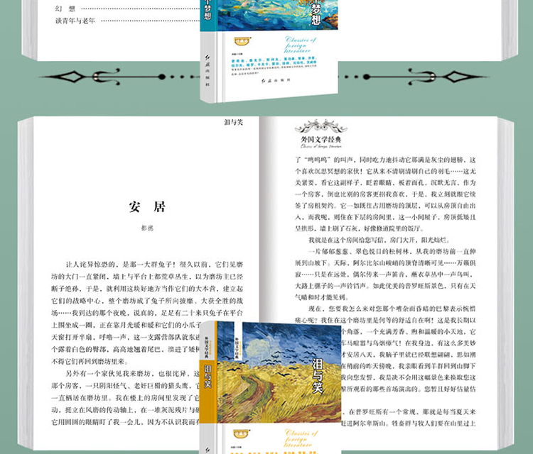 外国文学经典-梦想坚持篇全4册儿童文学世界名著青少年课外阅读书