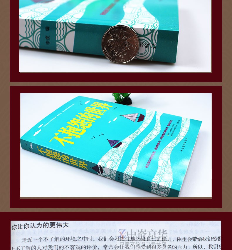 正版包邮 不抱怨的世界 抱怨是失败的标签 愚者的陋习 不抱怨是幸福的秘诀 智者的美德 人生哲学 通俗