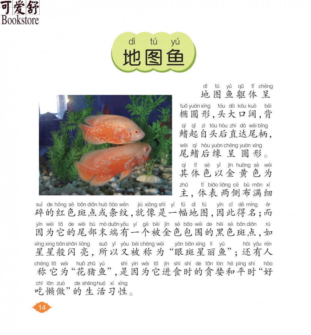 【注音有声朗读版】鱼类小百科 彩图注音版 有声朗读版正版 儿童小学生6-10岁科普书籍 海洋动物
