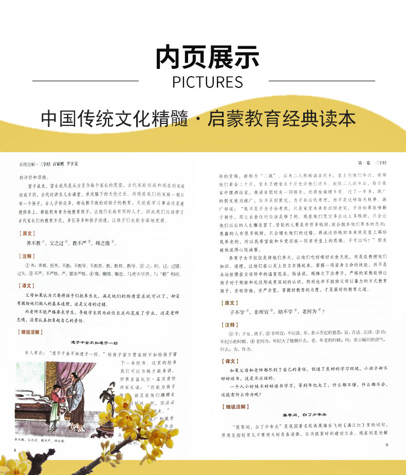 【硬壳精装】国学经典三字经 百家姓 千字文正版 彩图全解注释全译全注弟子规 国学启蒙