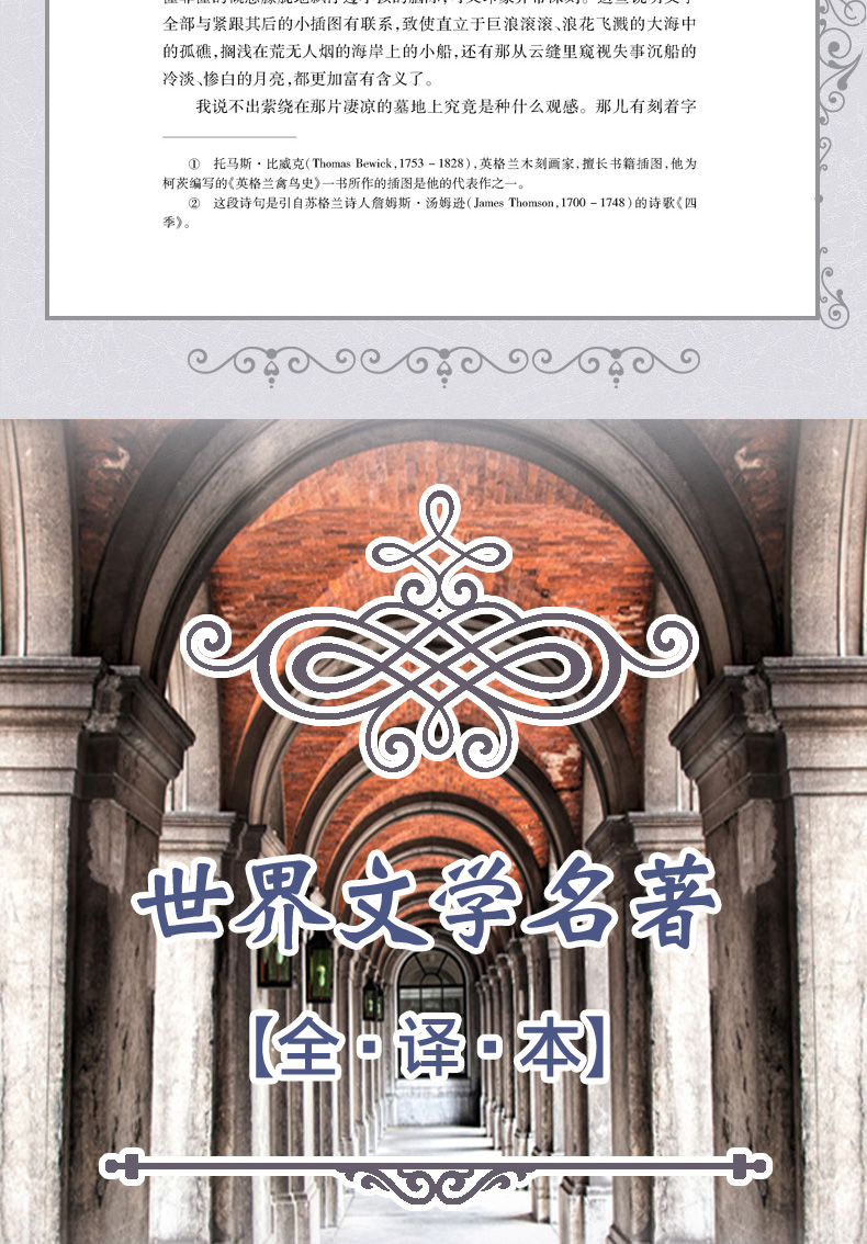 儒林外史+简爱书籍原著全译本九年级下册初中生语文新课标推荐阅读课外书世界名著