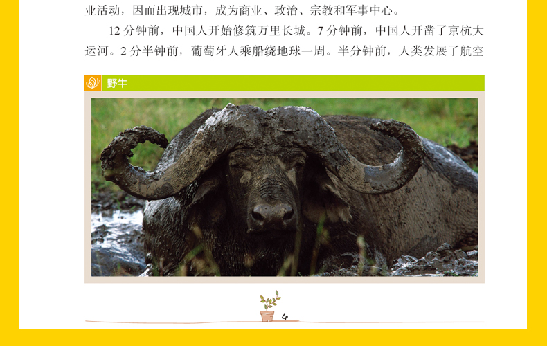 彩图版地理中的趣味和魅力 学生成才励志必读书系之学科系 神奇趣味知识营我的本好玩地理书 中小学生课外