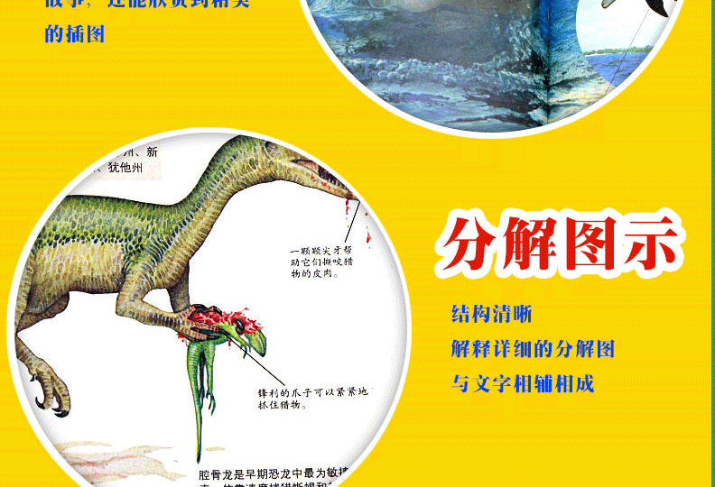 正版精装8册百科大全 恐龙兵器昆虫植物自然动物少年儿童百科全书6-10岁儿童注音图书 小学生