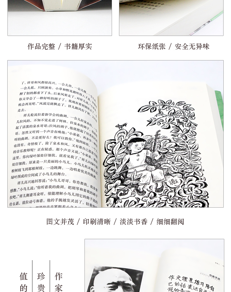 百年百部中国儿童文学经典书系：野葡萄