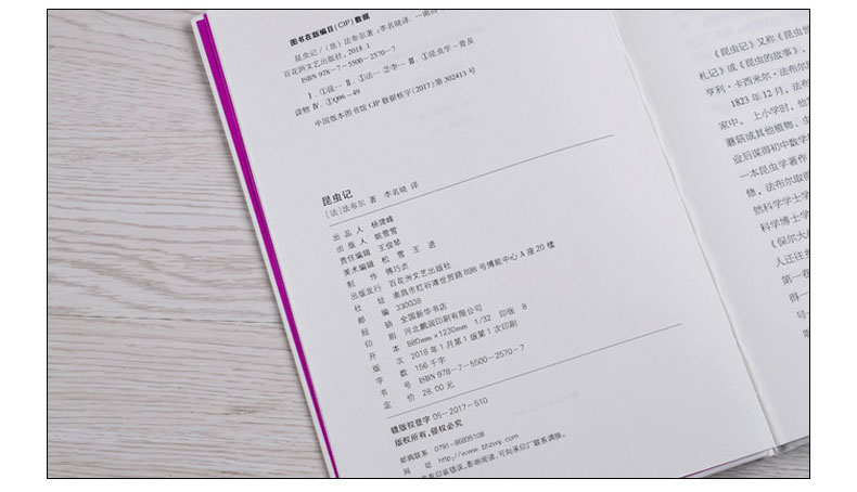 昆虫记 语文新课标经典大阅读 小学生初中生中学生读物经典文学名著 青少年课外书名师点评导读