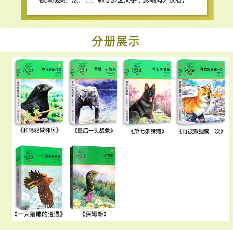 雪豹悲歌 动物小说大王沈石溪品藏书系 升级版 小学生课外阅读书籍三四五六年级必读经典书目 6-12周岁儿童文学故事书畅销经典读物