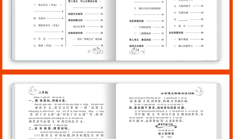 小学语文新课标阶梯阅读二年级教材全解 2年级上册下册阅读训练人教版2019新版课外书 小学生看图写话说话 作文辅导练习册必读书