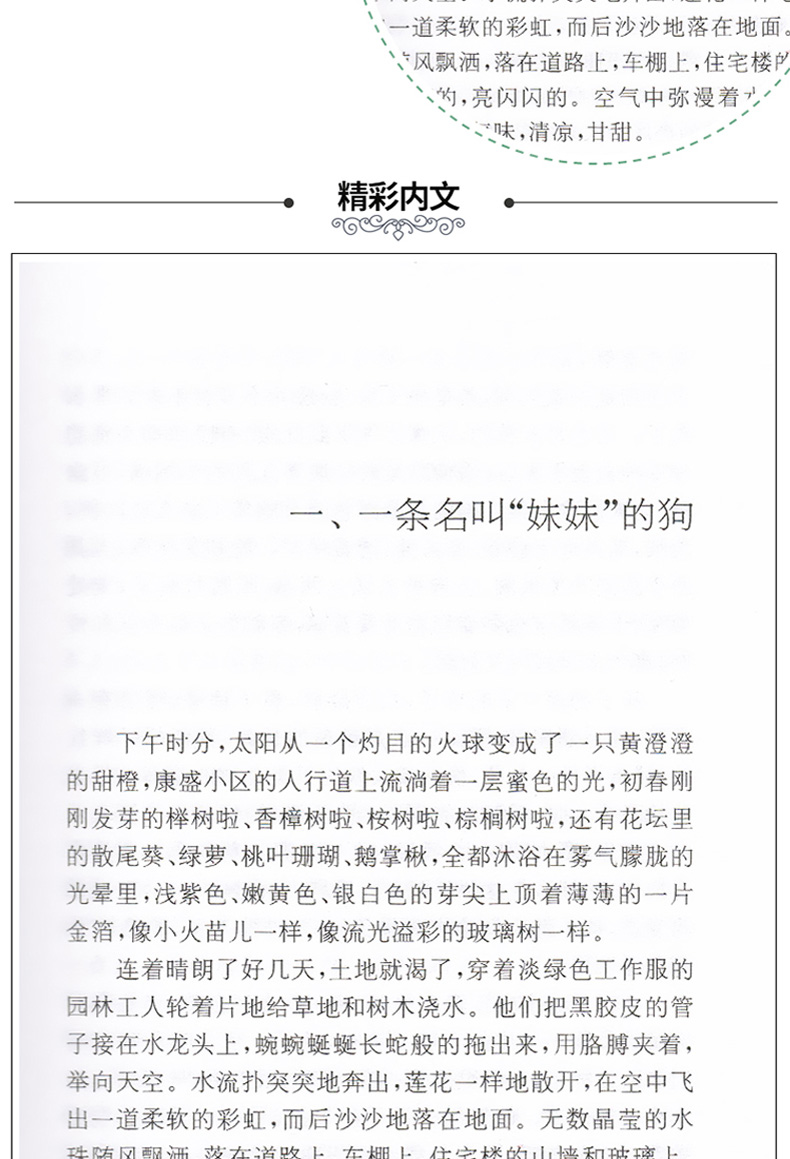 你是我的宝贝正版书 黄蓓佳倾情小说系列小学生课外阅读书籍三四五六年级6-7-9-10-12-14-15周岁儿童读物少儿老师班主任推荐畅销书