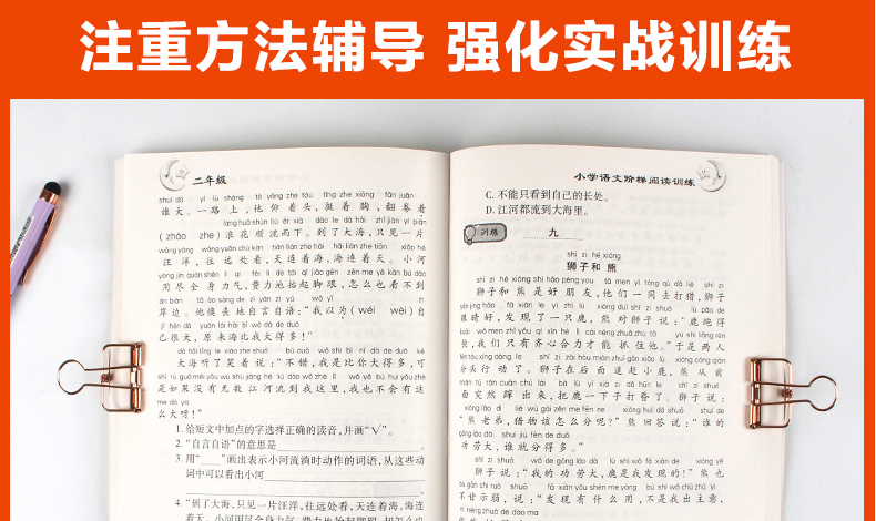 小学语文新课标阶梯阅读二年级教材全解 2年级上册下册阅读训练人教版2019新版课外书 小学生看图写话说话 作文辅导练习册必读书