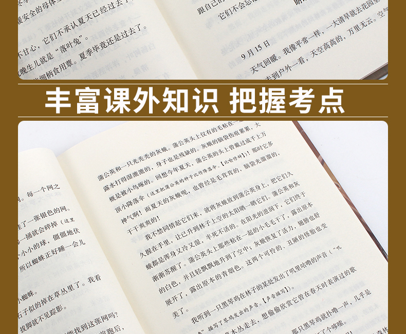 4本29.8元 正版精装】森林报春夏秋冬全四册之一 小学生三四五六七八年级必读的课外书 班主任老师推荐课外阅读书籍 青少年初中生