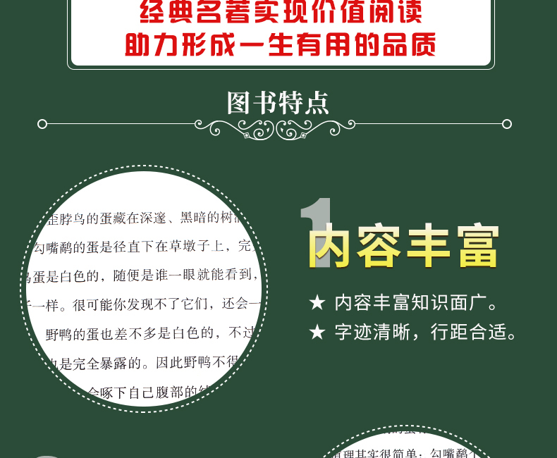4本29.8元 正版精装】森林报春夏秋冬系列四册之一 小学生课外书三四五六年级阅读书籍儿童读物图书初中生读物 班主任推荐必读丛书