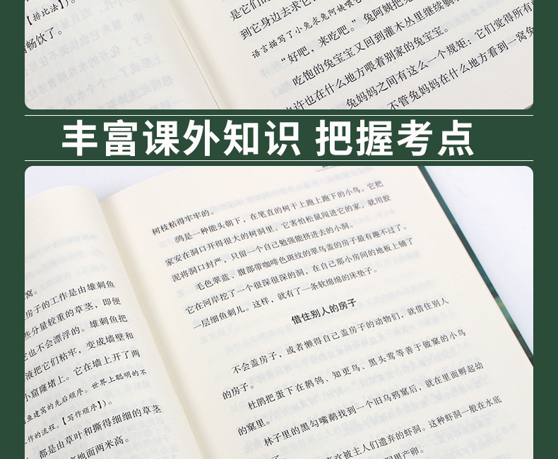 4本29.8元 正版精装】森林报春夏秋冬系列四册之一 小学生课外书三四五六年级阅读书籍儿童读物图书初中生读物 班主任推荐必读丛书
