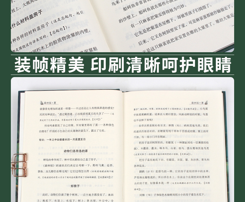 4本29.8元 正版精装】森林报春夏秋冬系列四册之一 小学生课外书三四五六年级阅读书籍儿童读物图书初中生读物 班主任推荐必读丛书