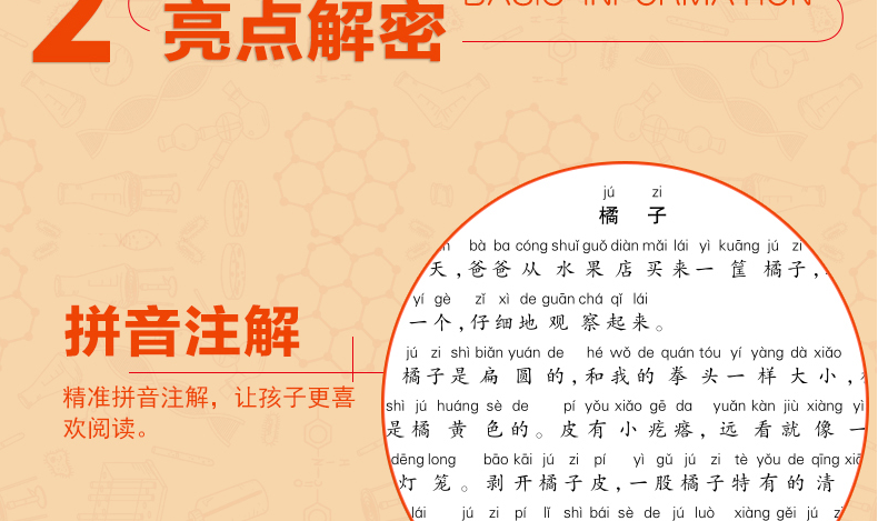 小学语文新课标阶梯阅读二年级教材全解 2年级上册下册阅读训练人教版2019新版课外书 小学生看图写话说话 作文辅导练习册必读书