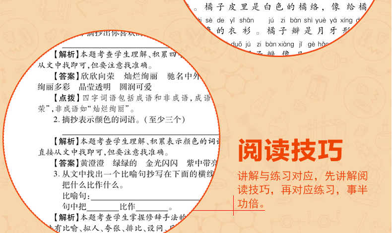 小学语文新课标阶梯阅读二年级教材全解 2年级上册下册阅读训练人教版2019新版课外书 小学生看图写话说话 作文辅导练习册必读书