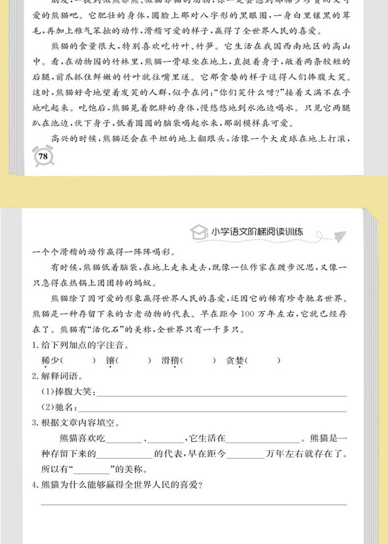 周计划三年级共3册 小学数学计算题专项训练+应用题专题训练+语文阶梯阅读训练 小学3年级新课标课外书每日一练部编版试卷专项训练