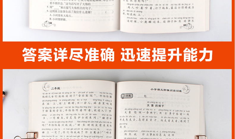 小学语文新课标阶梯阅读二年级教材全解 2年级上册下册阅读训练人教版2019新版课外书 小学生看图写话说话 作文辅导练习册必读书